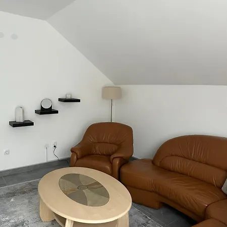 Apartment Holiday Daire Vrnjačka Banja