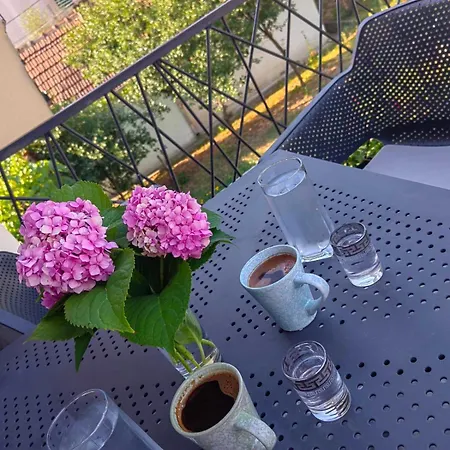 Apartment Holiday Апартаменты *