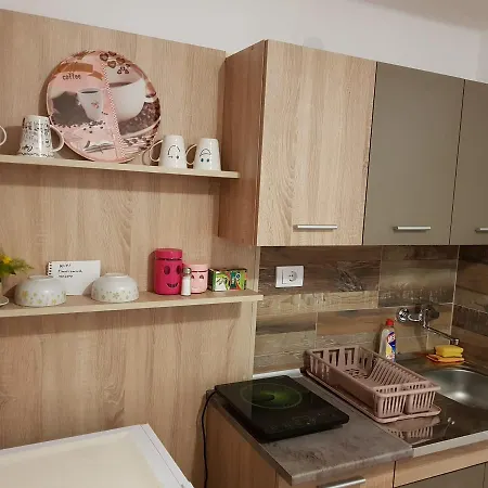 Апартаменты Apartment Holiday Врнячка-Баня